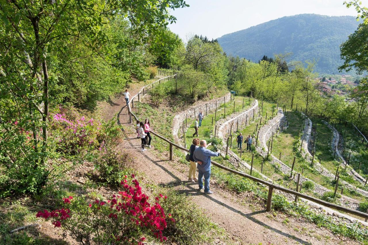 Agriturismo Al Motto Cambiasca Екстер'єр фото